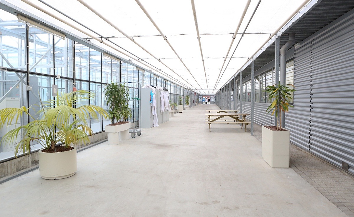 Binnenhaven 5, Ten Houten gebouw, Wageningen. Kadans ontwikkelde voor Eurofins Agro een locatie met kantoorruimten en laboratoriumfaciliteiten. Binnenhaven 5 ligt op het Bio Science Park in Wageningen, dicht bij Wageningen Campus.
