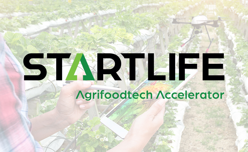 StartLife Arms Next Generation of Agrifoodtech Startups with Crucial Insights